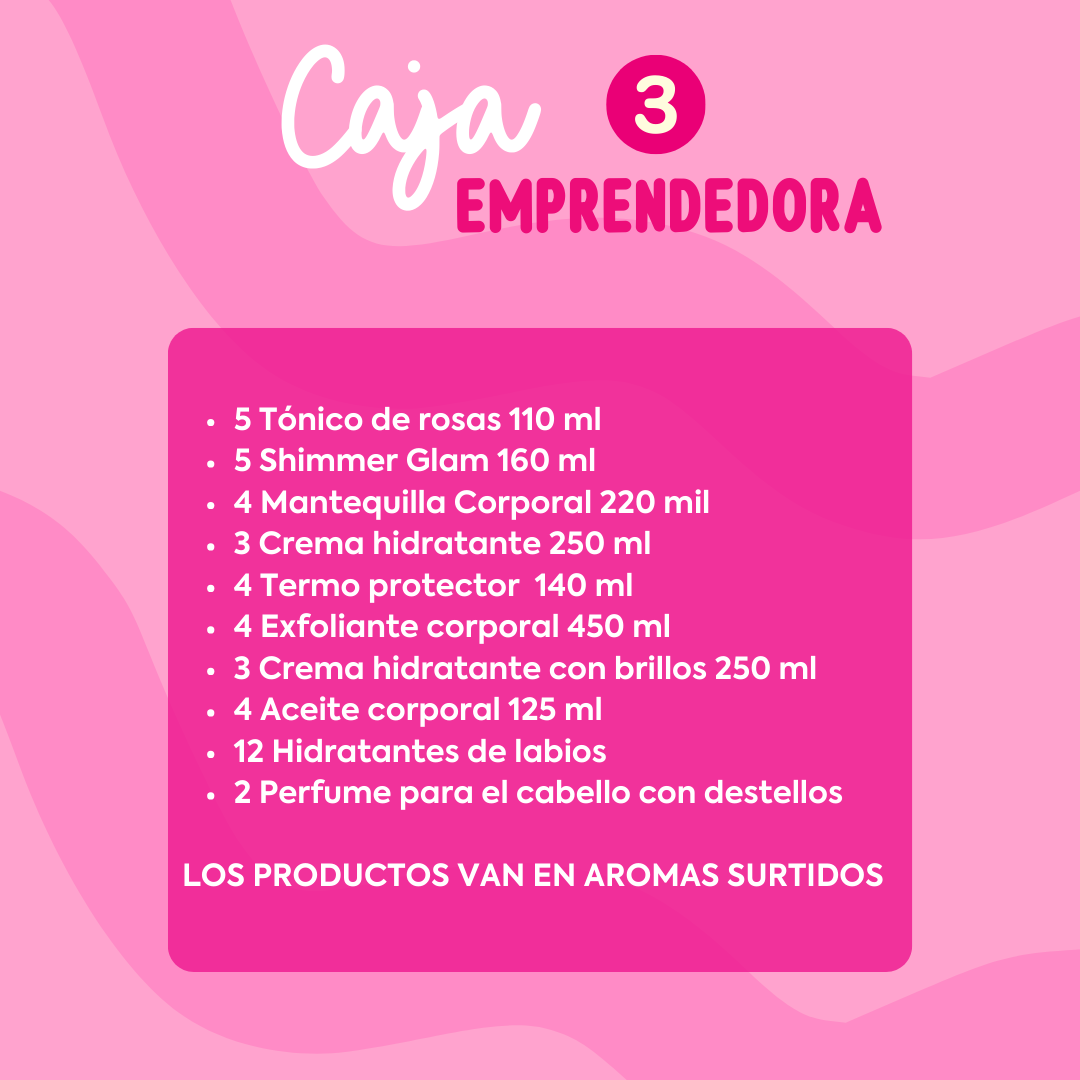 CAJA EMPRENDEDORA 3